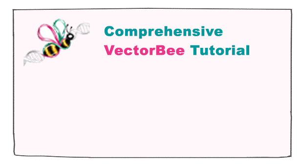 Comprehensive VectorBee Tutorial